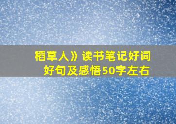 稻草人》读书笔记好词好句及感悟50字左右