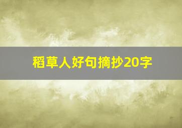 稻草人好句摘抄20字