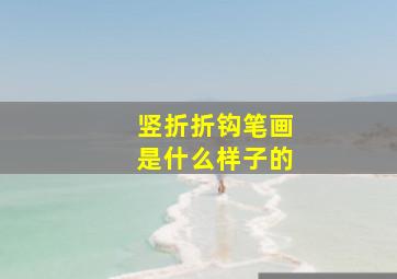 竖折折钩笔画是什么样子的