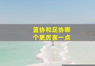 篮协和足协哪个更厉害一点