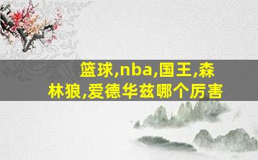 篮球,nba,国王,森林狼,爱德华兹哪个厉害