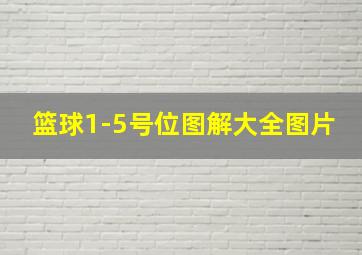 篮球1-5号位图解大全图片