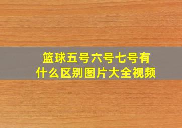 篮球五号六号七号有什么区别图片大全视频