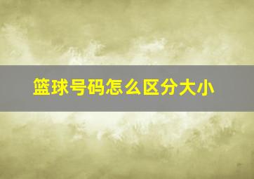 篮球号码怎么区分大小