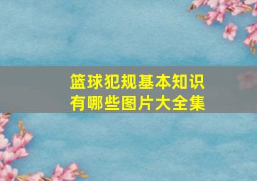 篮球犯规基本知识有哪些图片大全集