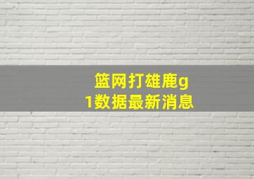 篮网打雄鹿g1数据最新消息