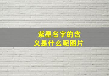 紫墨名字的含义是什么呢图片