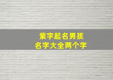 紫字起名男孩名字大全两个字