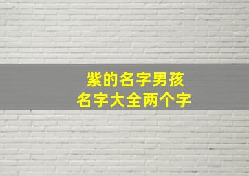 紫的名字男孩名字大全两个字