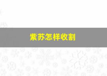 紫苏怎样收割