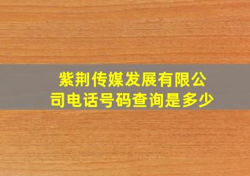 紫荆传媒发展有限公司电话号码查询是多少