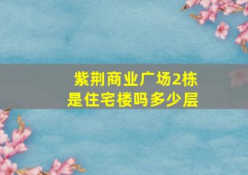 紫荆商业广场2栋是住宅楼吗多少层