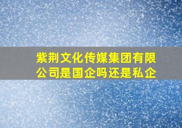 紫荆文化传媒集团有限公司是国企吗还是私企