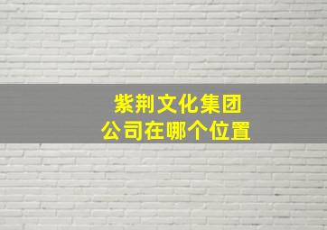 紫荆文化集团公司在哪个位置