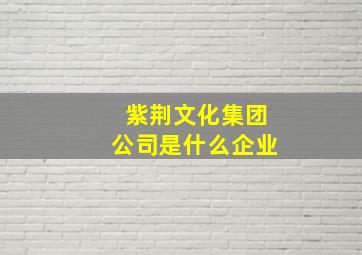 紫荆文化集团公司是什么企业