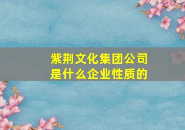 紫荆文化集团公司是什么企业性质的