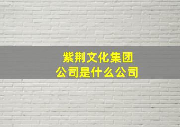 紫荆文化集团公司是什么公司