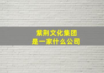 紫荆文化集团是一家什么公司