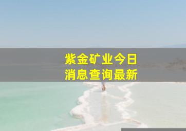 紫金矿业今日消息查询最新