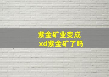 紫金矿业变成xd紫金矿了吗