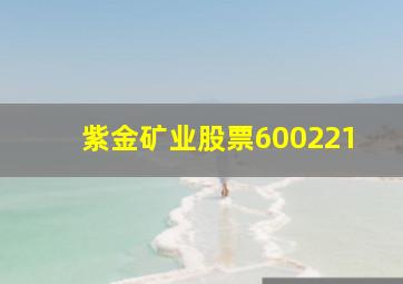 紫金矿业股票600221