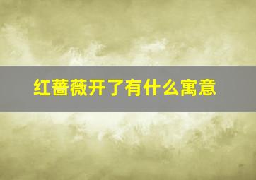 红蔷薇开了有什么寓意