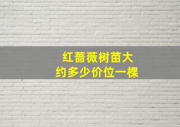 红蔷薇树苗大约多少价位一棵