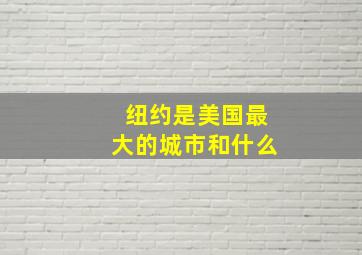 纽约是美国最大的城市和什么