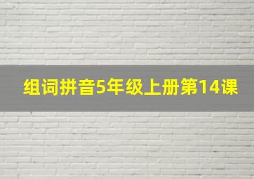 组词拼音5年级上册第14课