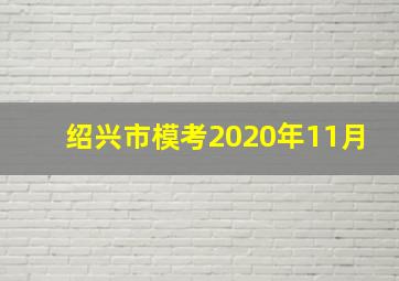 绍兴市模考2020年11月