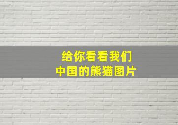 给你看看我们中国的熊猫图片