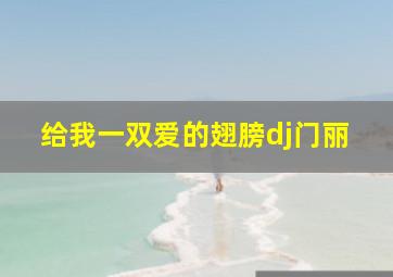 给我一双爱的翅膀dj门丽