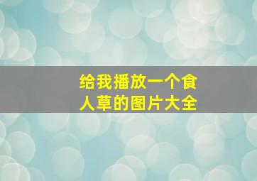 给我播放一个食人草的图片大全