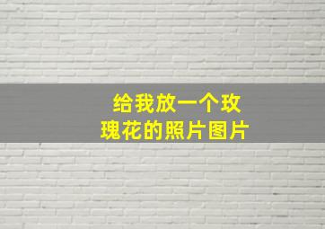 给我放一个玫瑰花的照片图片