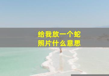 给我放一个蛇照片什么意思