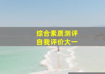 综合素质测评自我评价大一