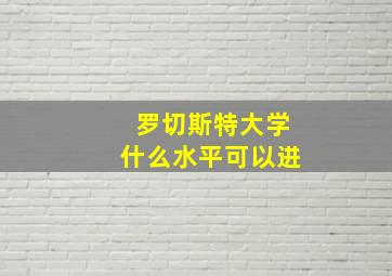 罗切斯特大学什么水平可以进