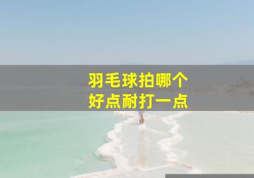 羽毛球拍哪个好点耐打一点