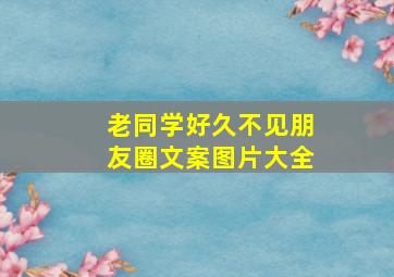 老同学好久不见朋友圈文案图片大全