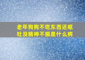 老年狗狗不吃东西还呕吐没精神不振是什么病