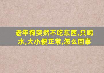 老年狗突然不吃东西,只喝水,大小便正常,怎么回事