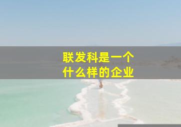 联发科是一个什么样的企业