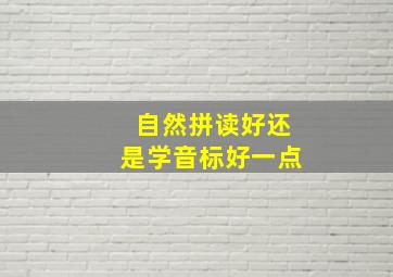 自然拼读好还是学音标好一点