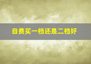 自费买一档还是二档好