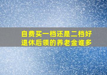 自费买一档还是二档好退休后领的养老金谁多