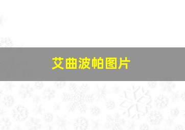 艾曲波帕图片