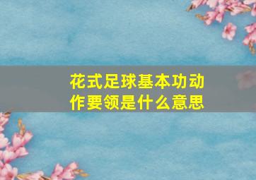 花式足球基本功动作要领是什么意思