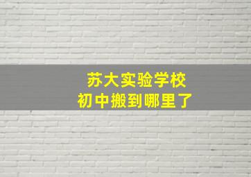 苏大实验学校初中搬到哪里了