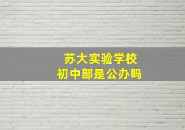 苏大实验学校初中部是公办吗