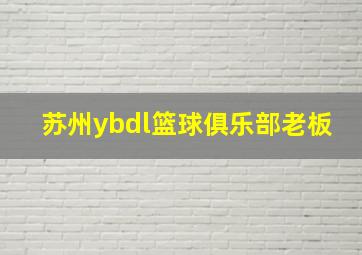 苏州ybdl篮球俱乐部老板